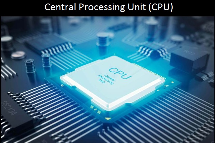 Central Processing Unit (CPU)