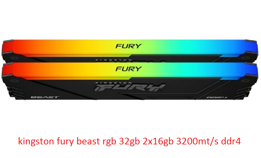 kingston fury beast